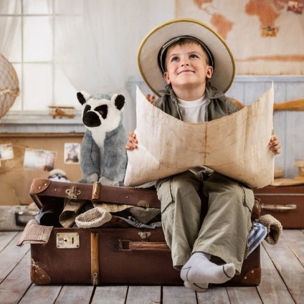 fao-schwarz-plush-11-planet-love-recycled-bottle-toy-plush-lemur-31491294756951_720x-1