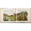 graphic-image-books-the-classic-tale-of-peter-rabbit-book-in-tan-bonded-leather-32343281991767_720x-2