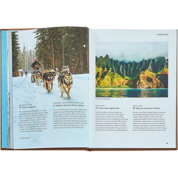 graphic-image-books-the-family-bucket-list-book-leather-edition-1152077160_720x-1