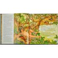 graphic-image-books-the-jungle-book-in-green-bonded-leather-32343284121687_720x