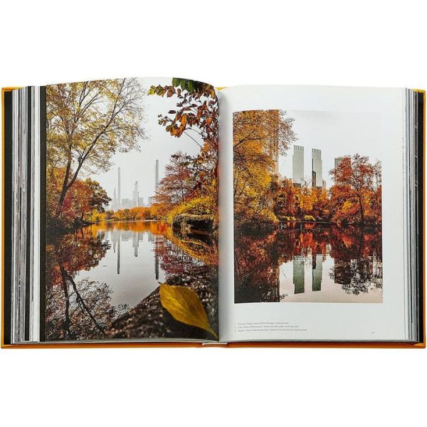 graphic-image-books-trope-new-york-book-leather-edition-1152077146_720x-4