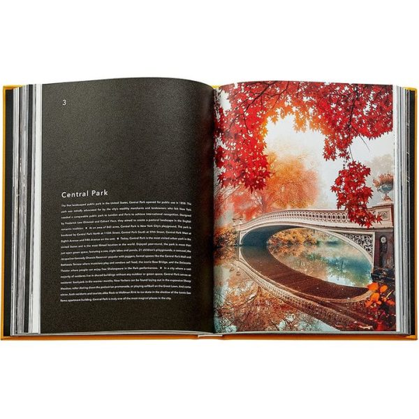 graphic-image-books-trope-new-york-book-leather-edition-1152077148_720x-4