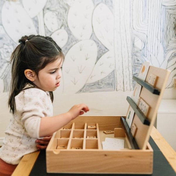 wonder-wise-preschool-wooden-compelling-spelling-activity-box-30541860077655_720x-2