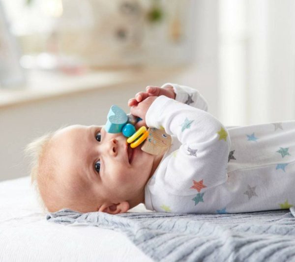 haba-wooden-baby-rattlefish-wooden-baby-rattle-28746347642978.jpg