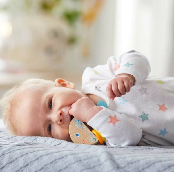 haba-wooden-baby-rattlefish-wooden-baby-rattle-28746347970658.jpg